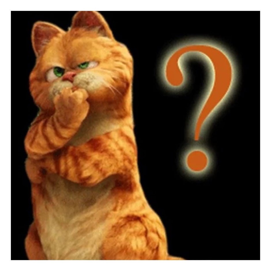 Вопрошающий котик