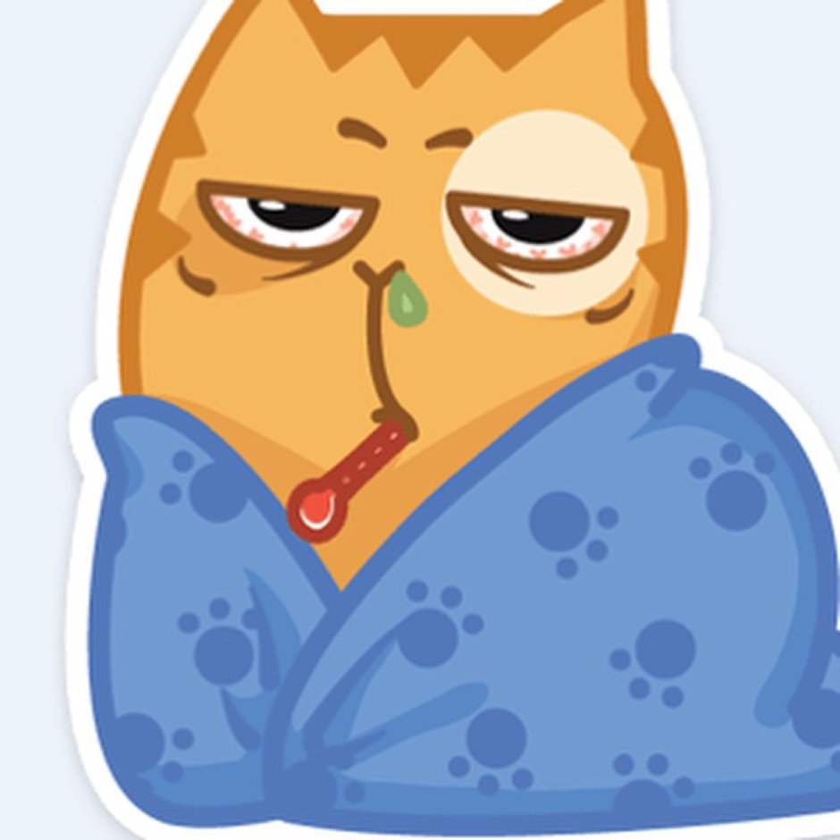 Стикеры. Кот