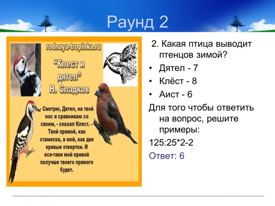 Какая птица выводит птиц зимой