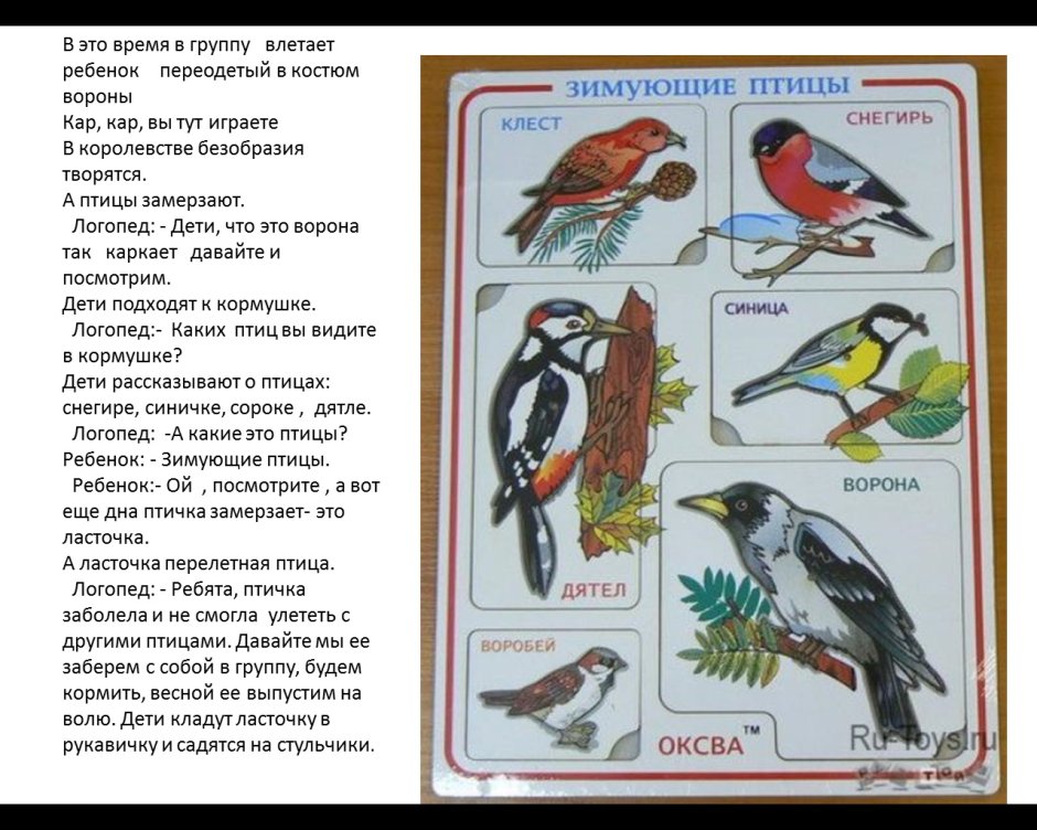 Чем кормить зимующих птиц