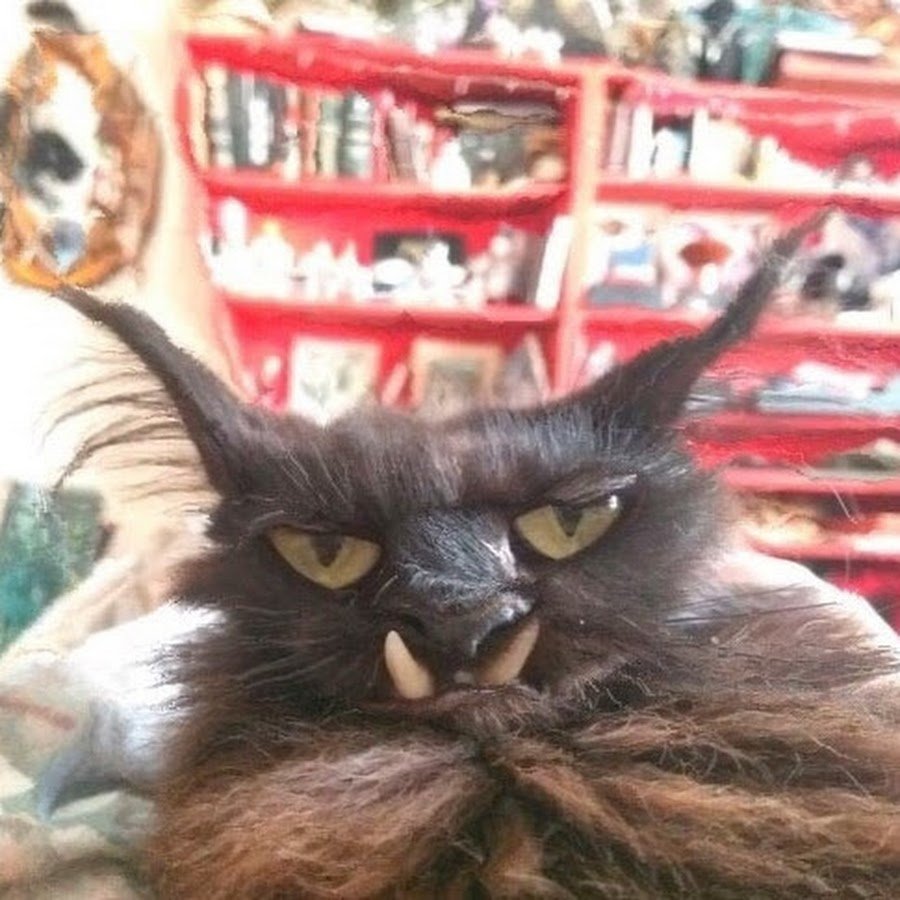 Кошка с человеческой улыбкой