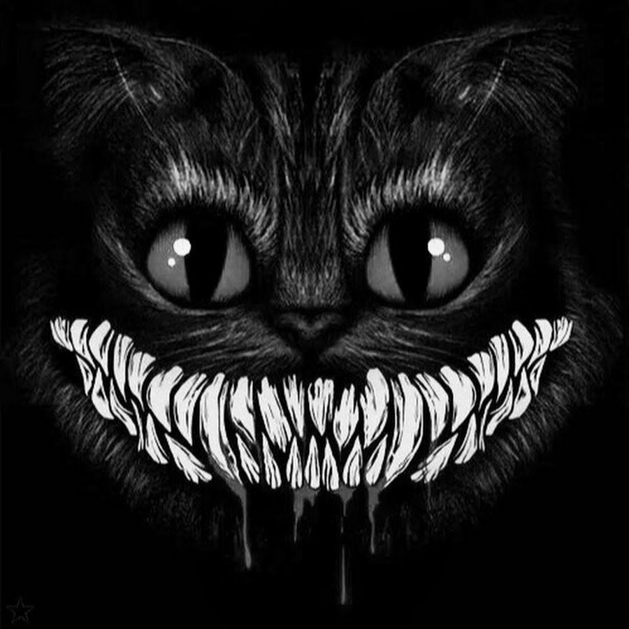 Кот застрял языком в шерсти