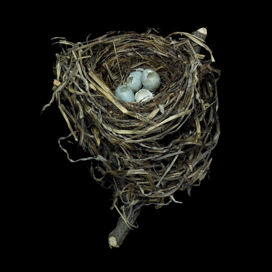 Женское гнездо