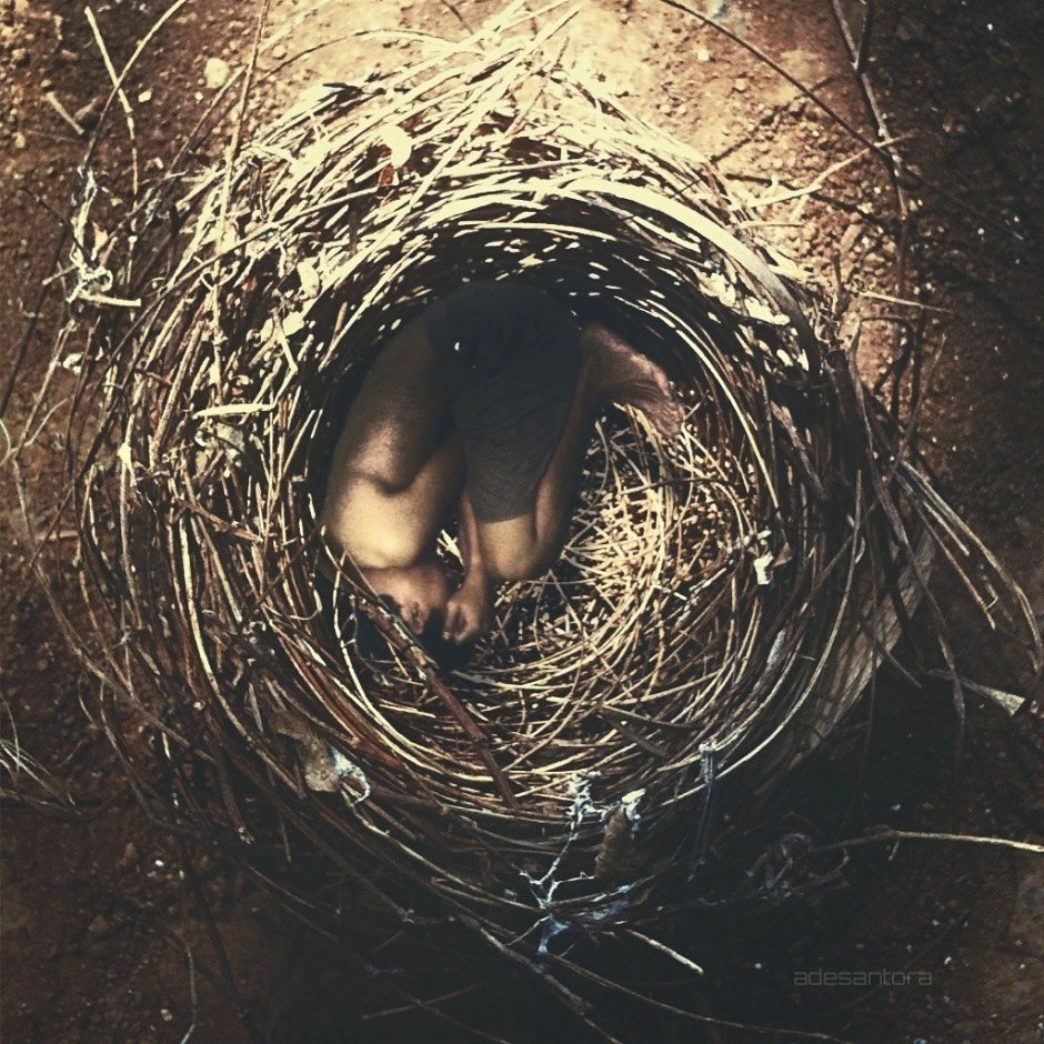 Гнездо для фотосессии