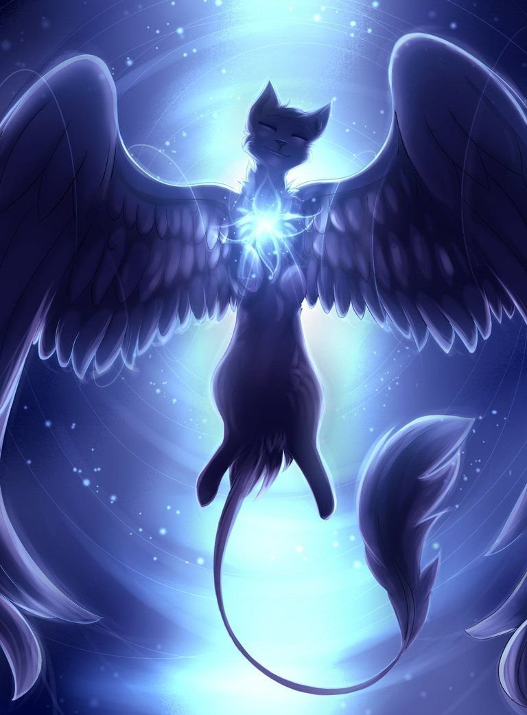 Кошка с крыльями