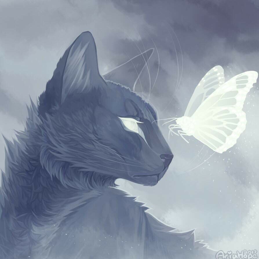 Коты Воители Эстетика