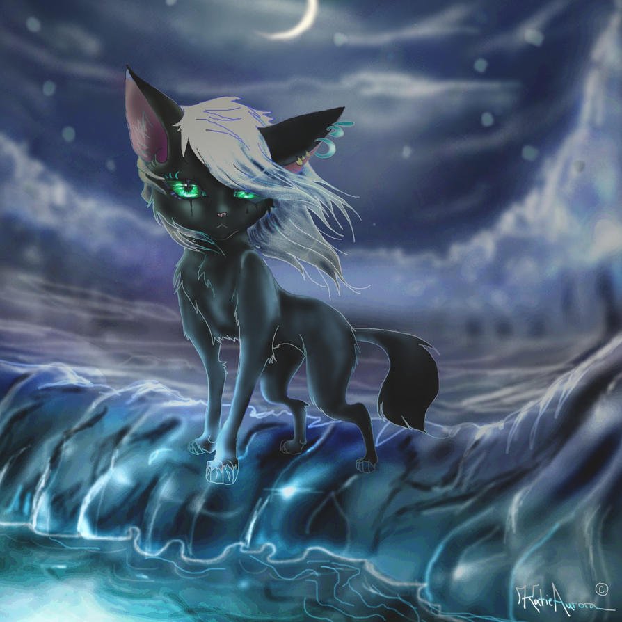 Коты Воители синица