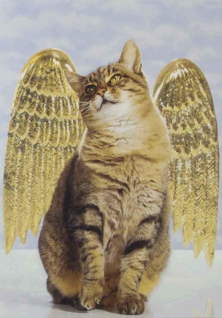 Кастл кэтс Ангелочек