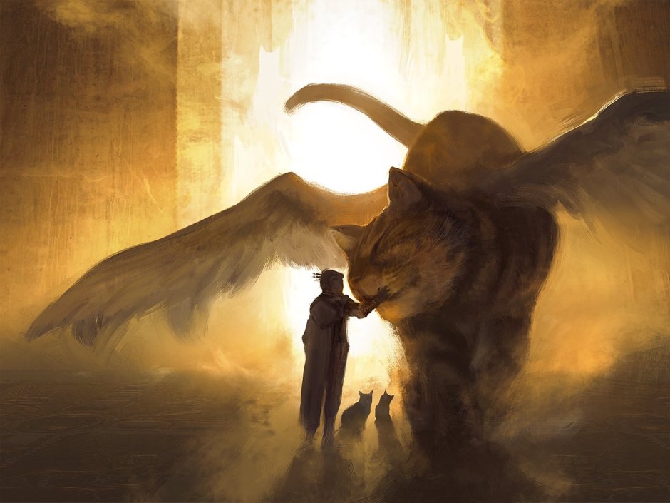 Ангельский кот