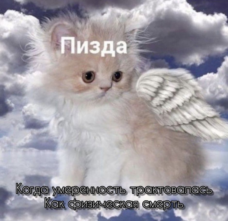 Фэнтези животные