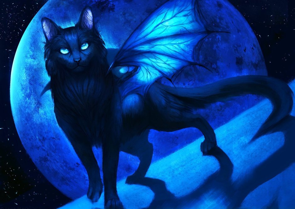 Котик Ангелочек