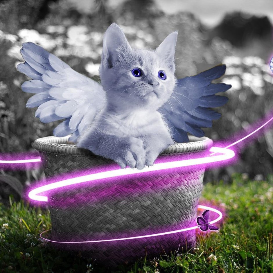 Коты Воители Мифические существа