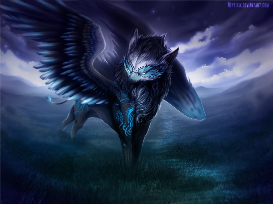 Кот с крыльями