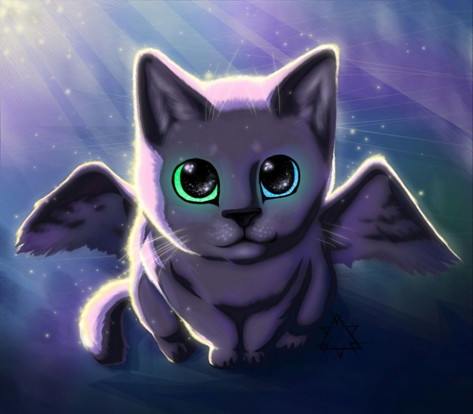 Коты Воители лайн с крыльями