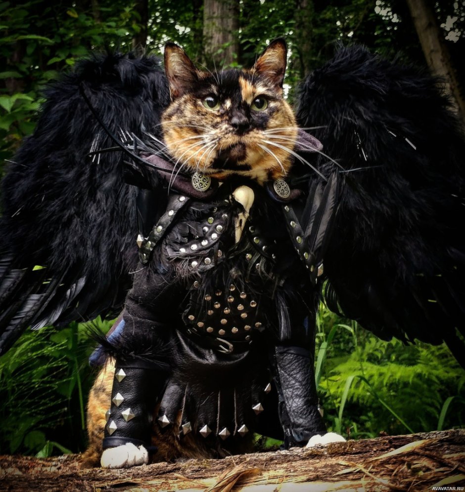 Симураны Легенда