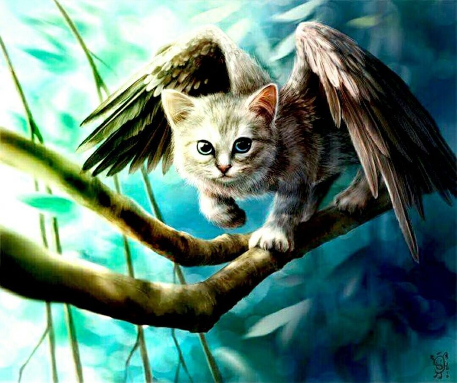 Коты с крыльями