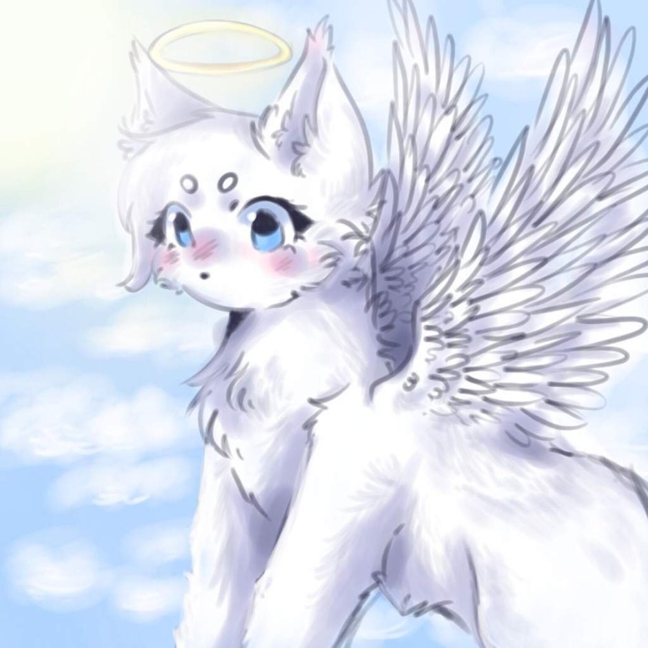 Кошка ангел