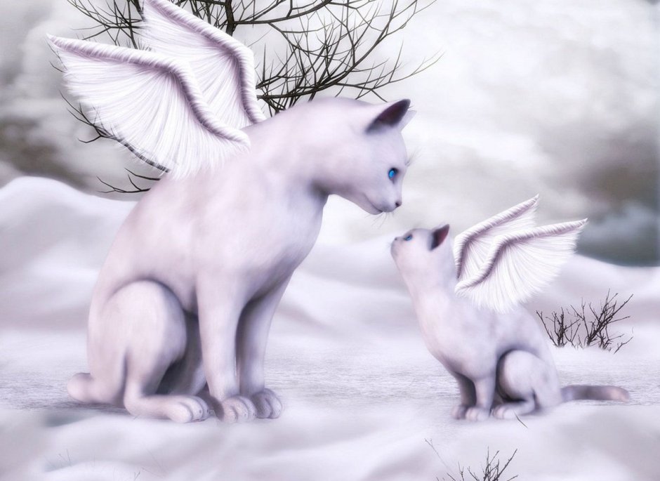 Кошка с крыльями