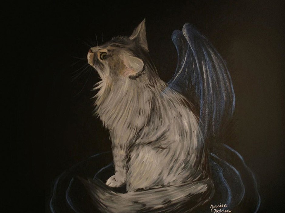 Коты с крыльями мутация