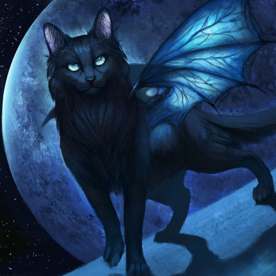 Черный котенок с крыльями