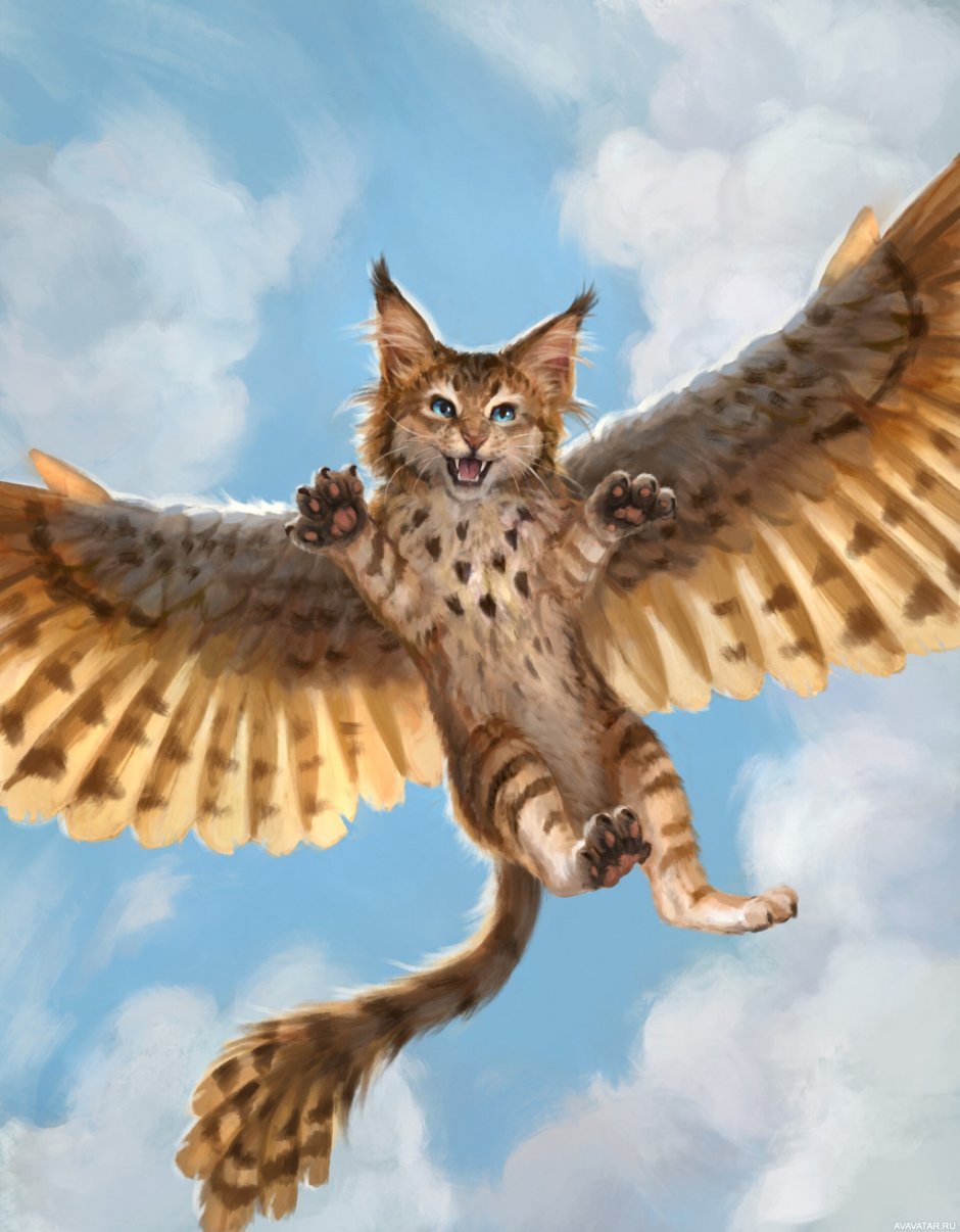 Крылатые коты