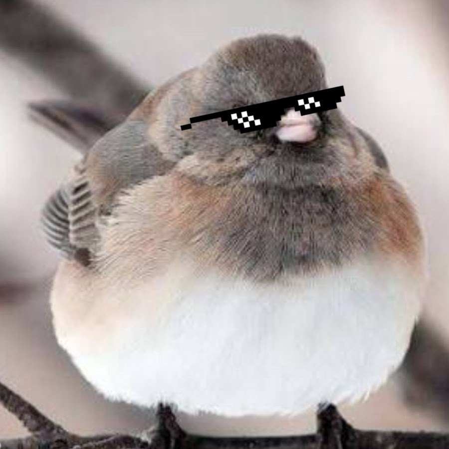 Пухлый Воробей