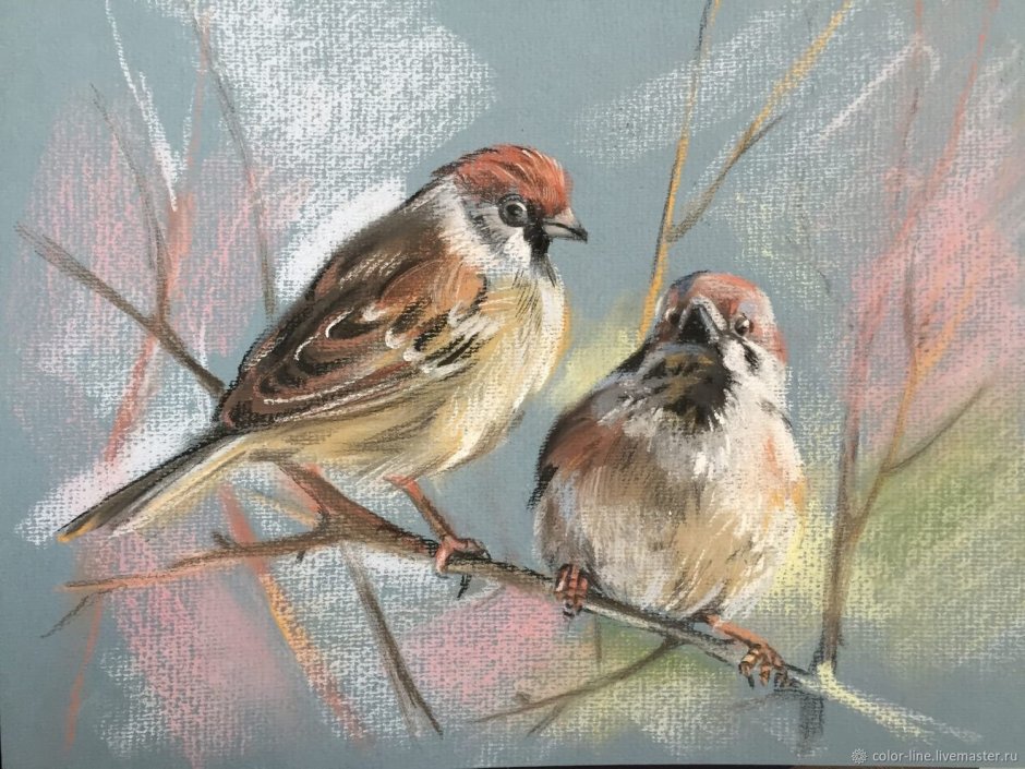 Воробей пастелью