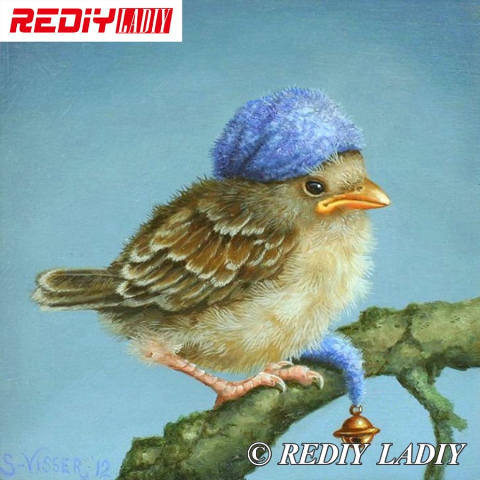 Птица с шапочкой