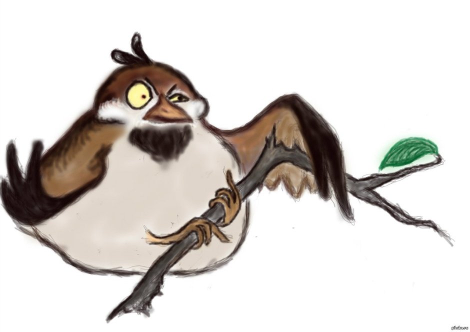 Смешные мультяшные птицы