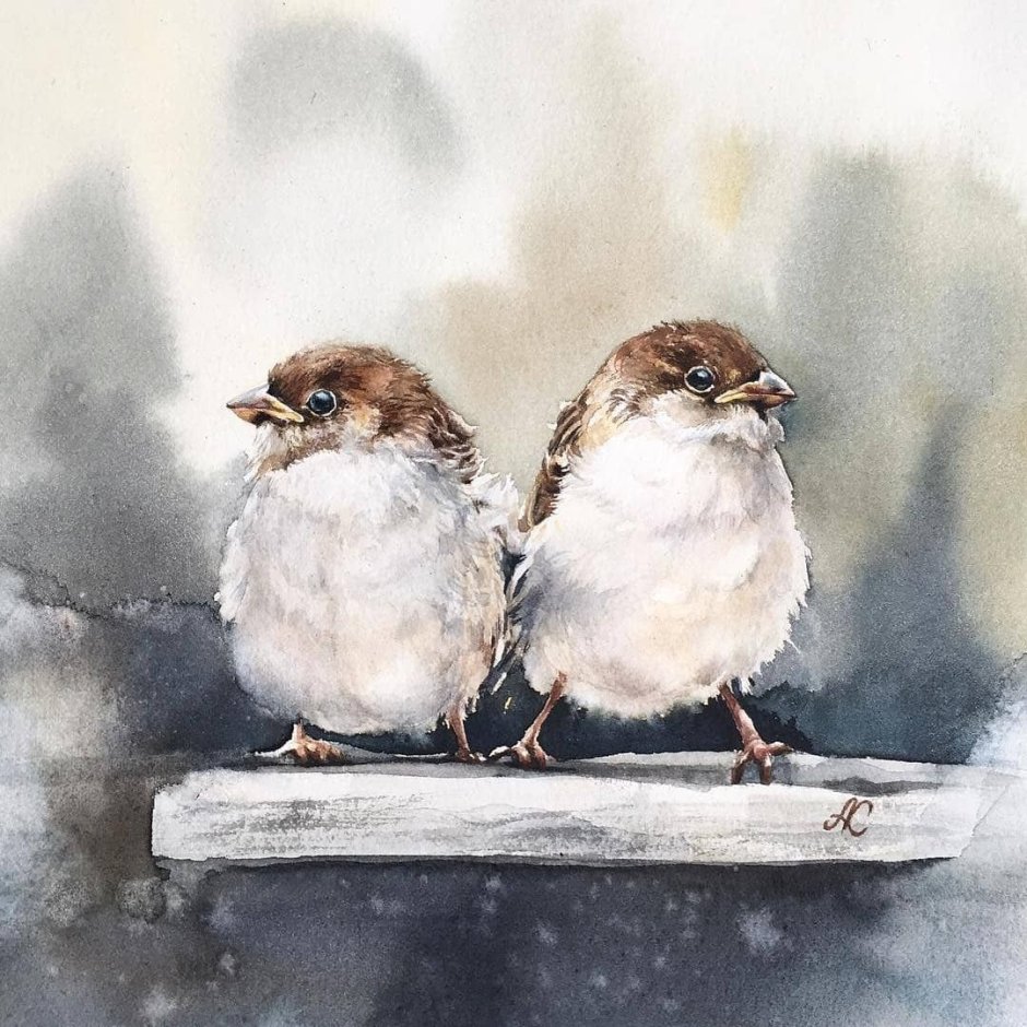 Альбина статных художник