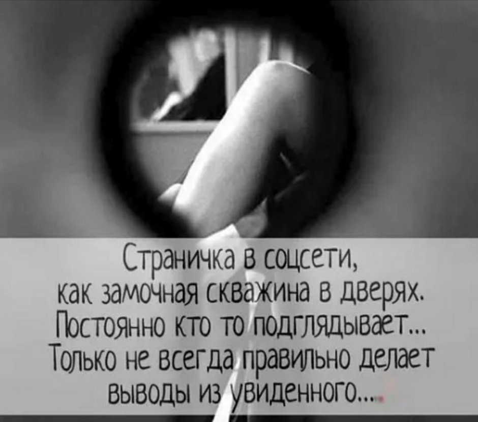 Идеи для фотосессии с котом