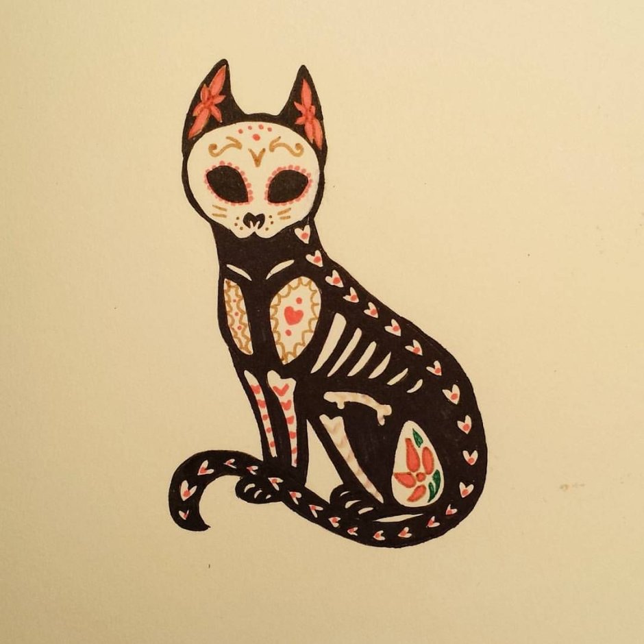 Мексиканские коты