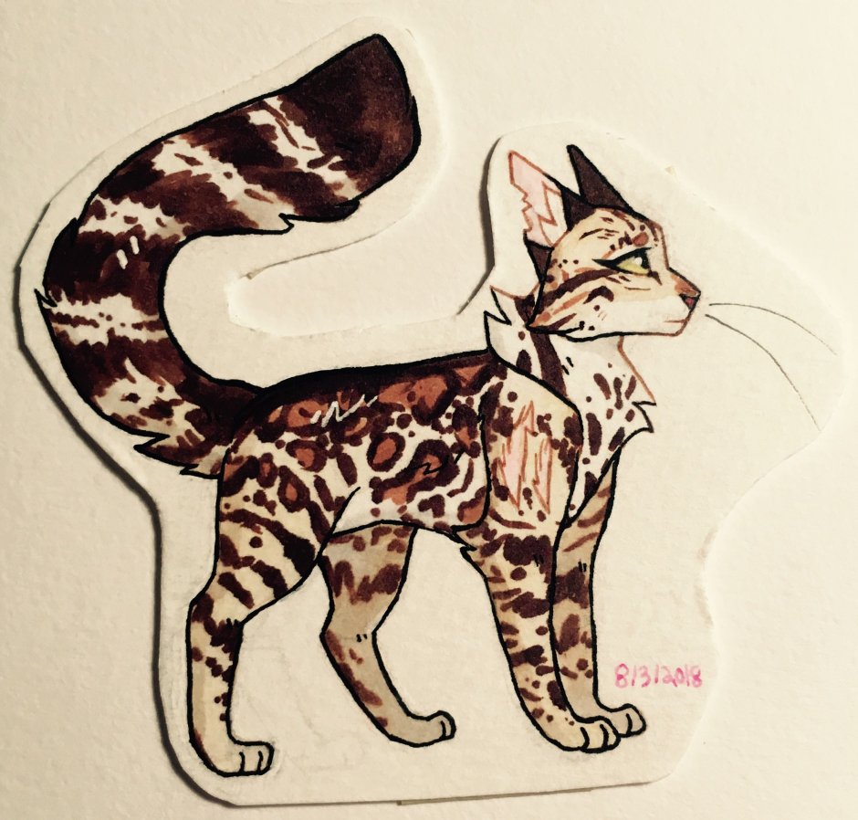 Сиамская кошка