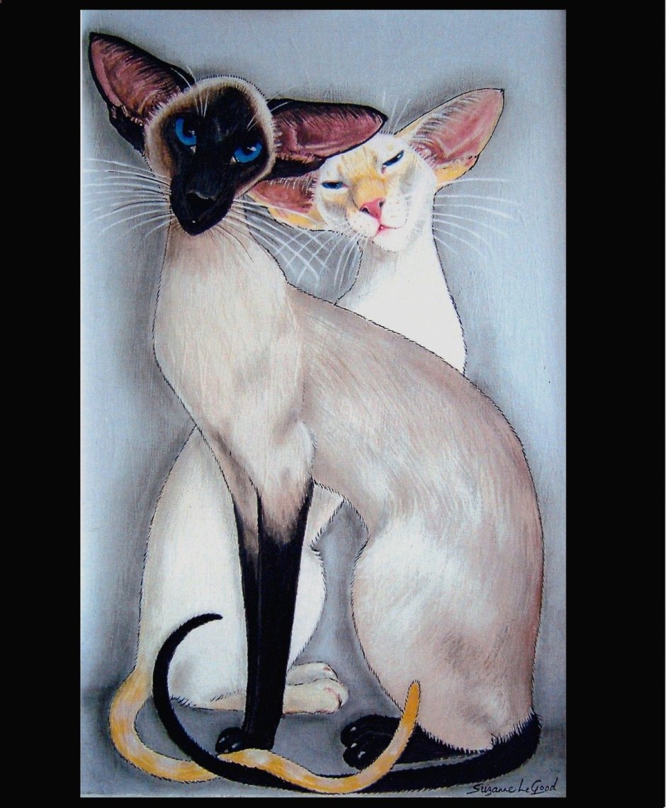 Heather Nesheim Cats