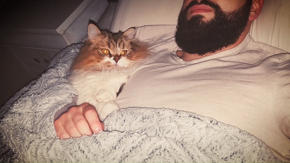 Парень спит с котом