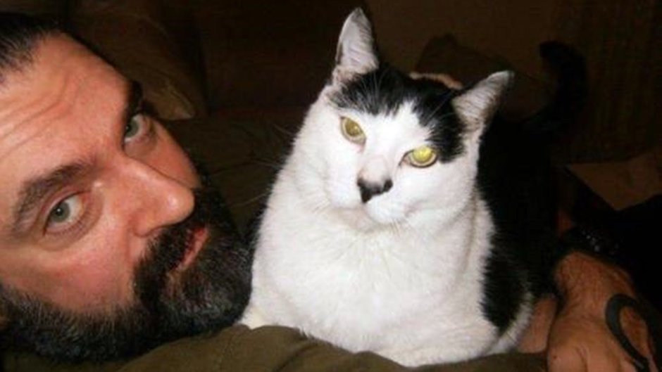 Питер стил с котом