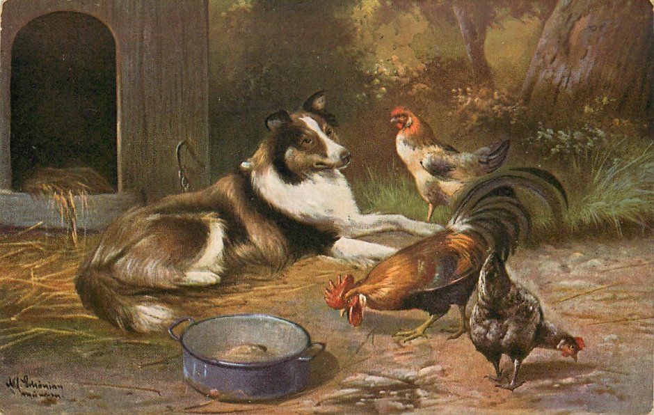 Петух и собака