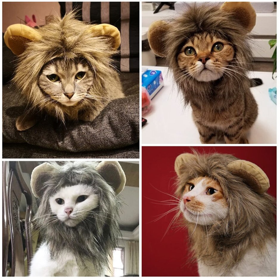Кошка в парике Льва