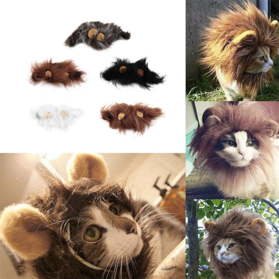 Коты Воители длиногрив