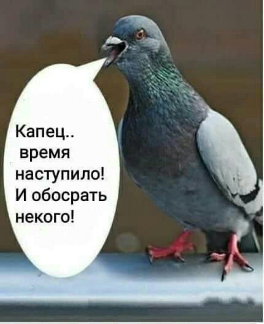 Не звоните сюда больше Мем