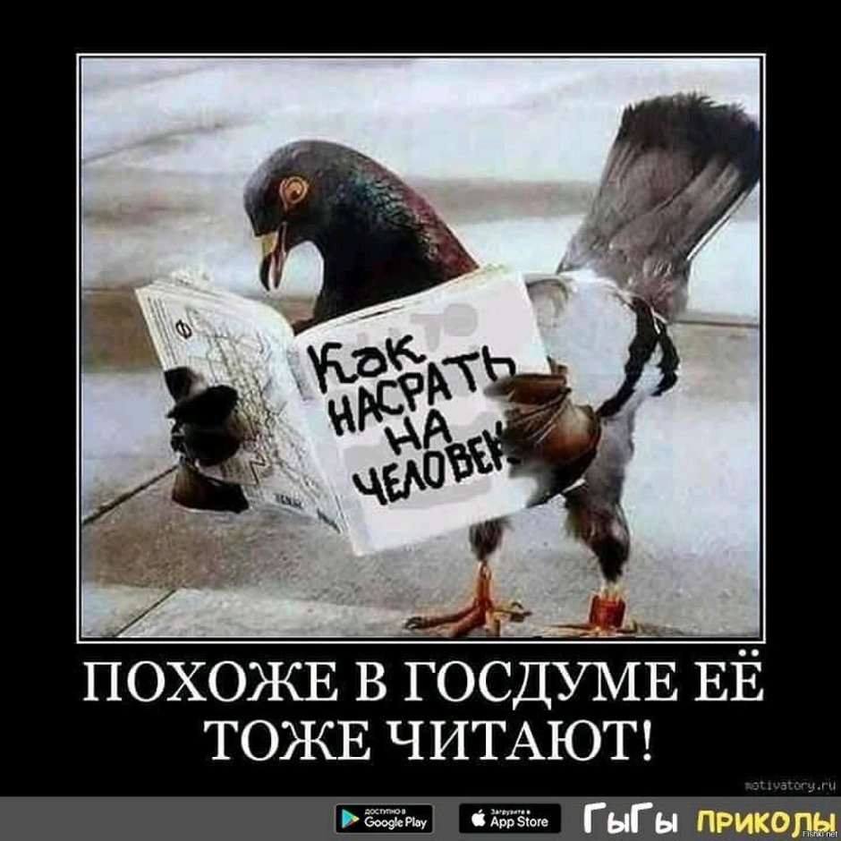 Чего не любят голуби