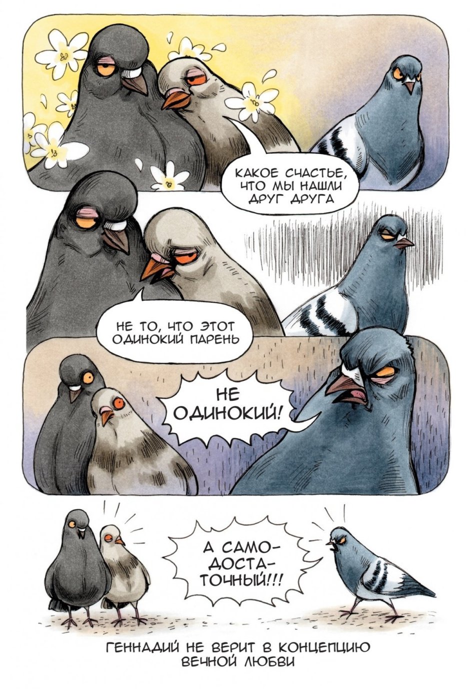 Новозеландский плодоядный голубь пьяный