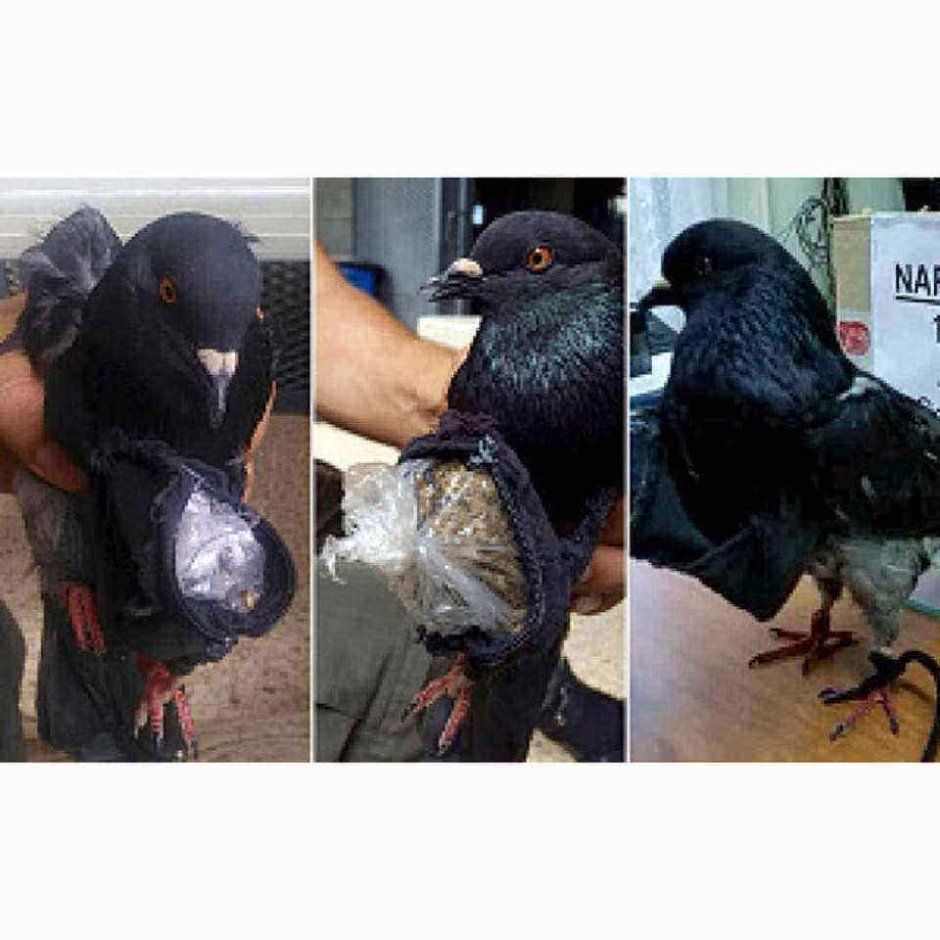 Мастерская Андрея Позднышева