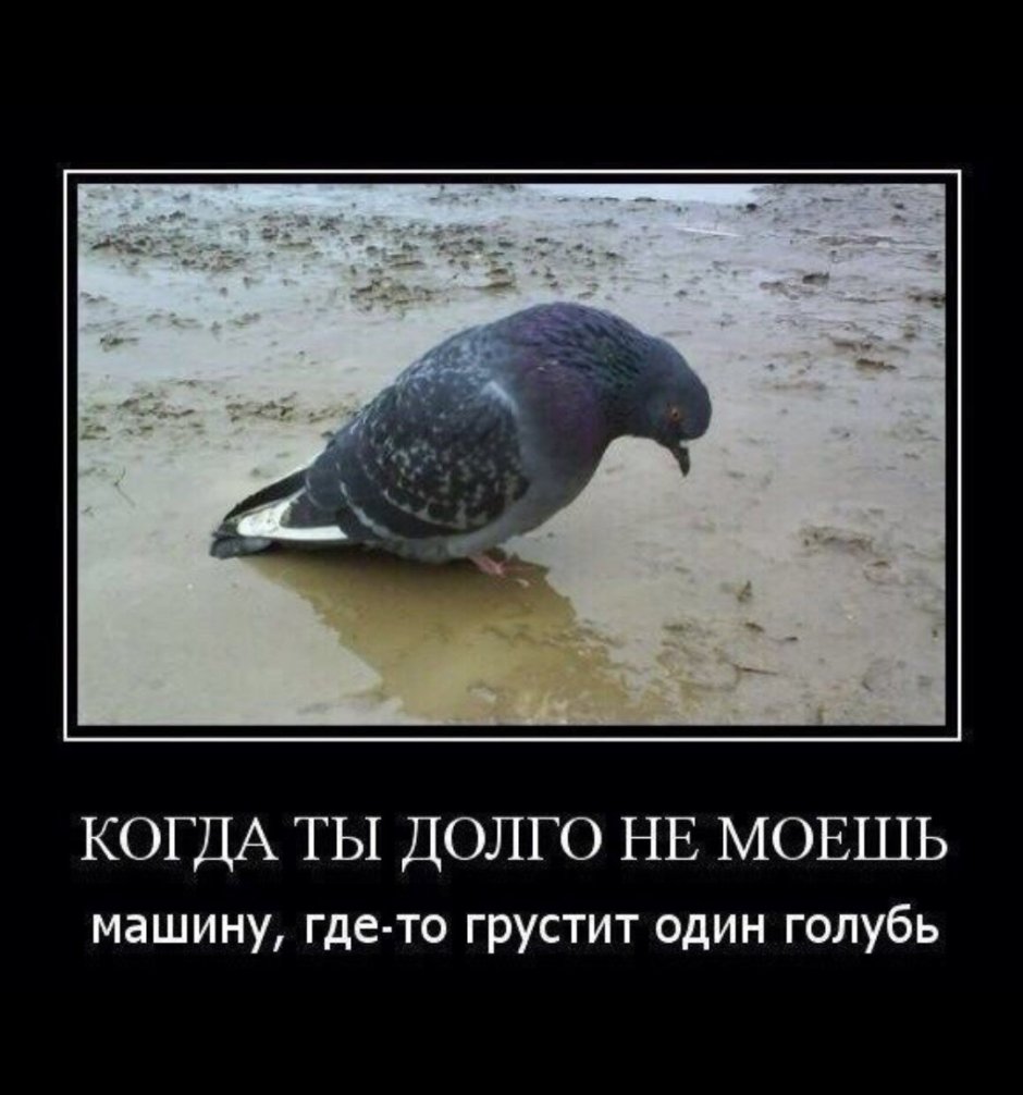 Шутки про 17 лет