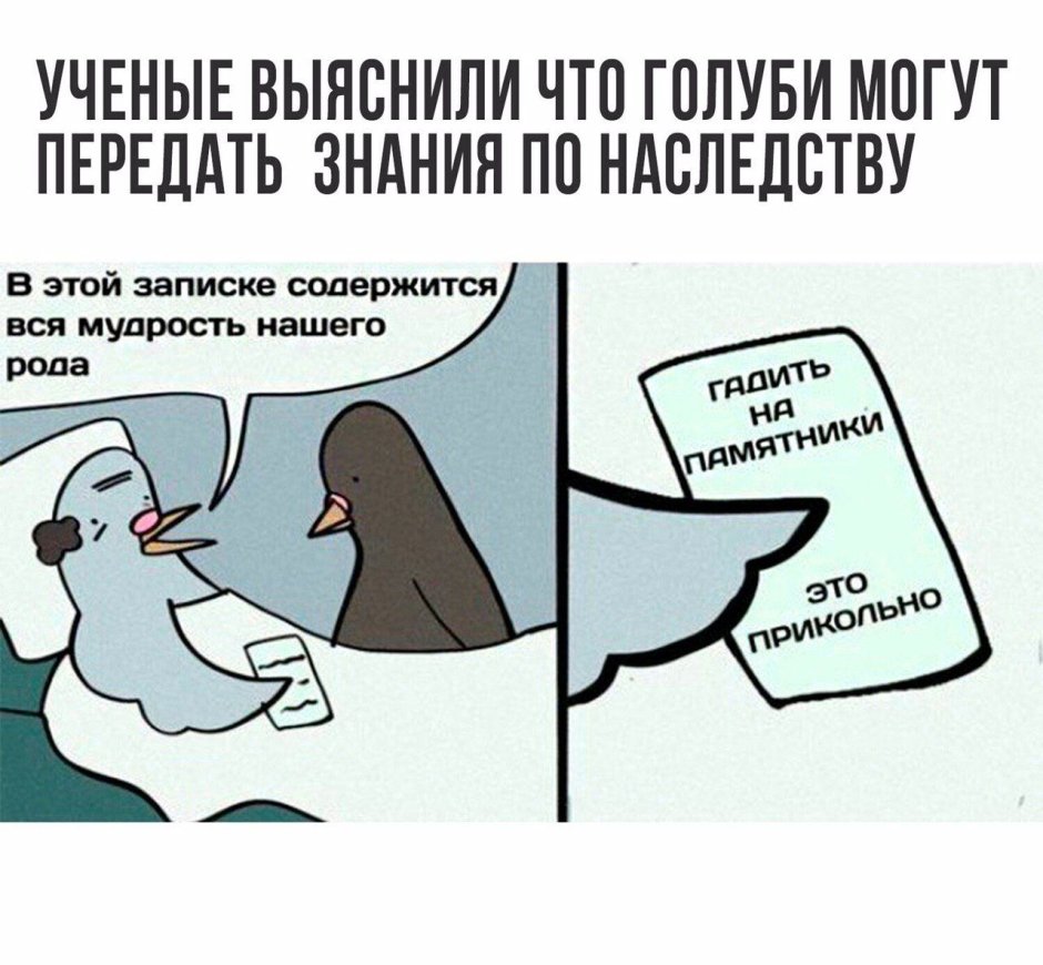 Анекдоты про голубей