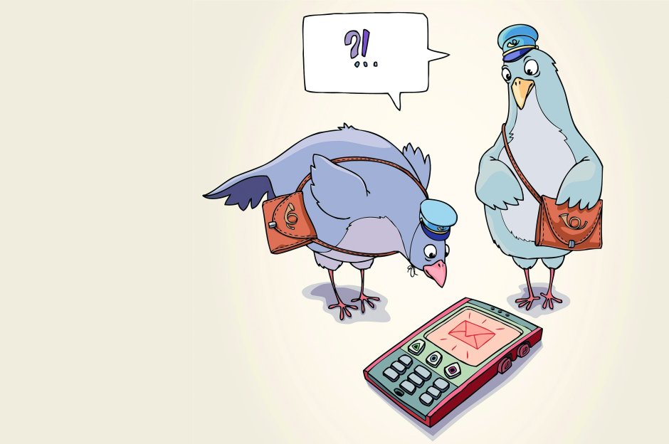 Почтовый голубь юмор