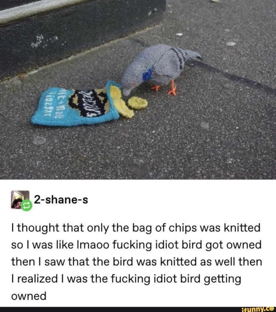 Веселый голубь