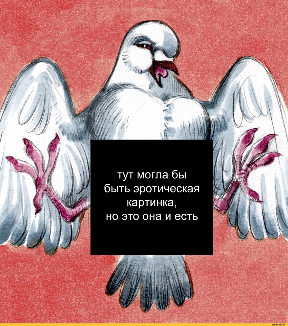 Не кашлять Мем голубь