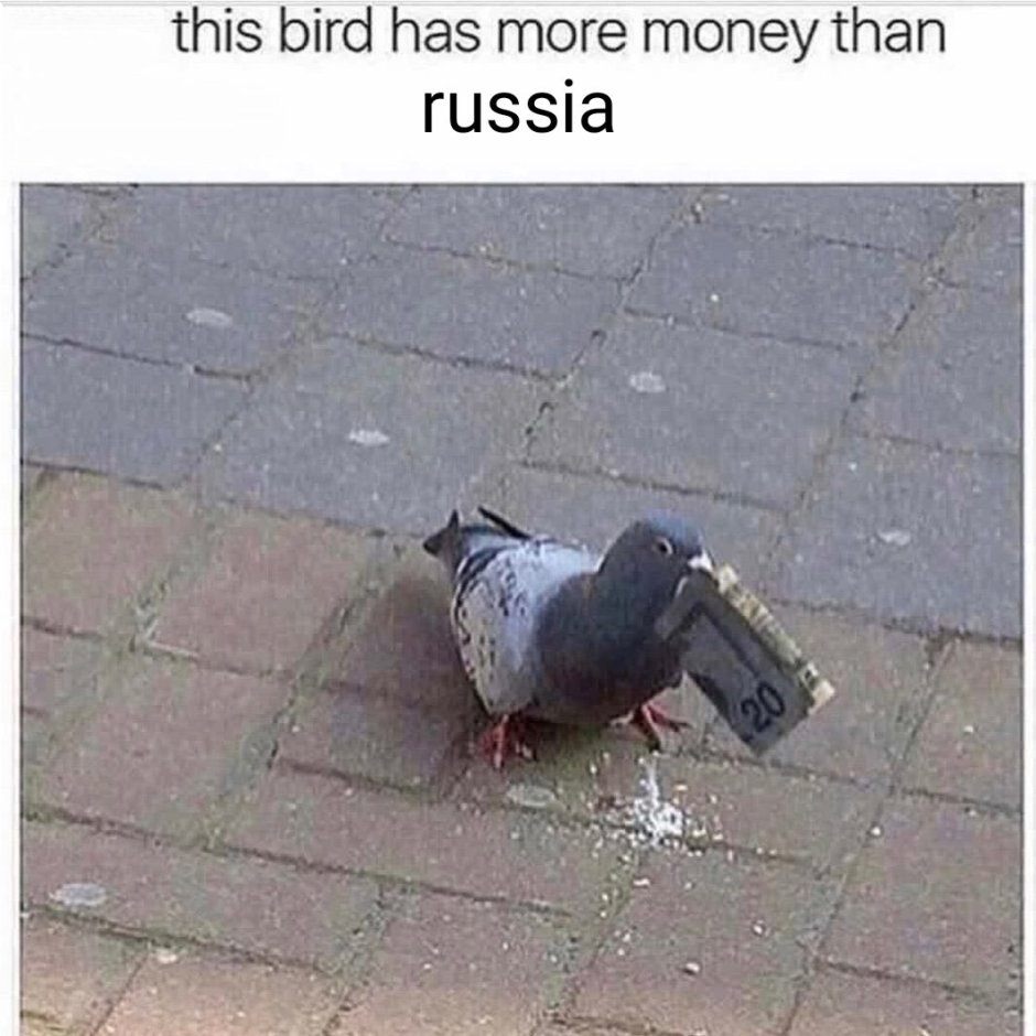 Голубь Наташа