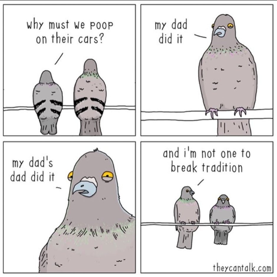 Глаз голубя